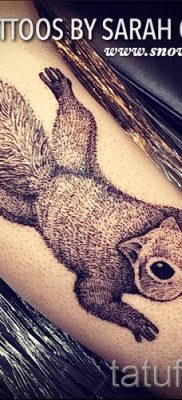 fotó a mókus tetoválásról egy cikkhez a mókusos tetoválás jelentéséről - tatufoto.ru - 67