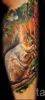 fotó a mókus tetoválásról egy cikkhez a mókusos tetoválás jelentéséről - tatufoto.ru - 64