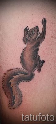 fotó a mókus tetoválásról egy cikkhez a mókusos tetoválás jelentéséről - tatufoto.ru - 60