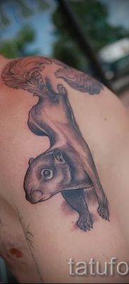 fotó a mókus tetoválásról egy cikkhez a mókusos tetoválás jelentéséről - tatufoto.ru - 38