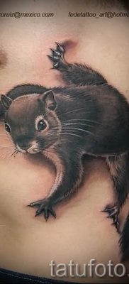 foto-tatu-belka-dlya-stati-pro-znachenie-tatuirovki-s-belkoj-030-tatufoto-ru