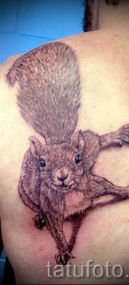 fotó a mókus tetoválásról egy cikkhez a mókusos tetoválás jelentéséről - tatufoto.ru - 22