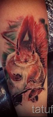 fotó a mókus tetoválásról egy cikkhez a mókusos tetoválás jelentéséről - tatufoto.ru - 21