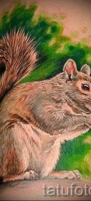 fotó a mókus tetoválásról egy cikkhez a mókusos tetoválás jelentéséről - tatufoto.ru - 13