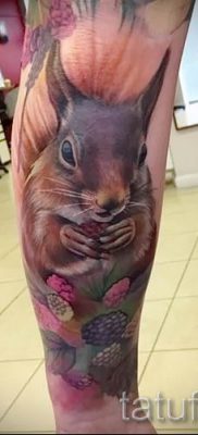 foto-tatu-belka-dlya-stati-pro-znachenie-tatuirovki-s-belkoj-011-tatufoto-ru