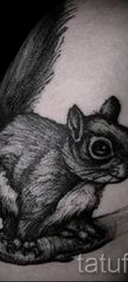 fotó a mókus tetoválásról egy cikkhez a mókusos tetoválás jelentéséről - tatufoto.ru - 4