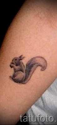 fotó a mókus tetoválásról egy cikkhez a mókusos tetoválás jelentéséről - tatufoto.ru - 3