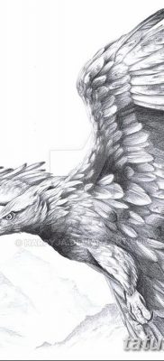 fotó az arany sas tetoválásról, 2017.10.12. 010. sz. - arany sas tetoválás -