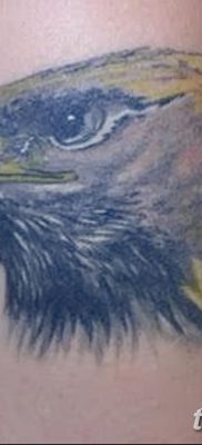 fotó arany sas tetoválásról, 2017.12.10. №011 - arany sas tetoválás -