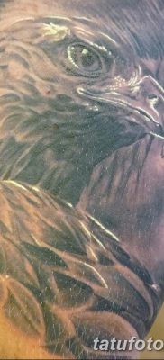 fotó az arany sas tetoválásról, 2017.12.10. №023 - arany sas tetoválás -