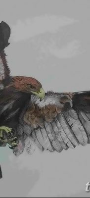 fotó az arany sas tetoválásról, 2017.12.10. №030 - arany sas tetoválás -