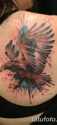 fotó az arany sas tetoválásról, 2017.12.10. №050 - arany sas tetoválás -