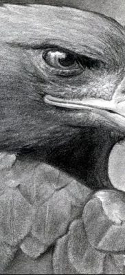 fotó az arany sas tetoválásról, 2017.12.12., 051. szám - arany sas tetoválás -