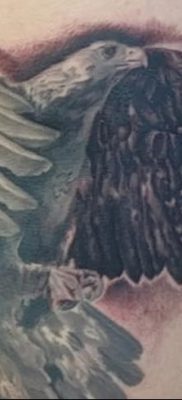 fotó egy arany sas tetoválásról, 2017. december 10 -én, 053. szám - arany sas tetoválás -