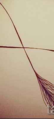 valeur stylo infini de tatouage - un exemple du tatouage fini dans la photo 1