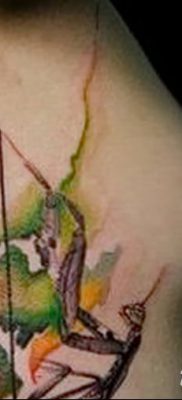 fotó egy imádkozó sáska tetoválásról, 2018. 04. 20. №106 - sáska tetoválás -