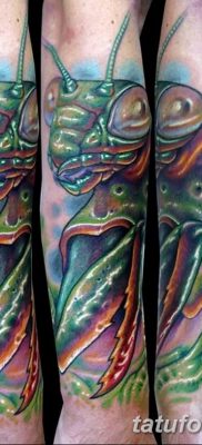 fotó egy imádkozó sáska tetoválásról, 2018. 04. 20 -án, 003 - sáska tetoválás -