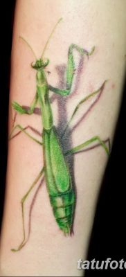 fotó egy imádkozó sáska tetoválásról, 2018. 04. 20 -án, 004 - sáska tetoválás -