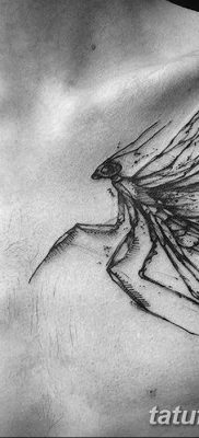 fotó egy imádkozó sáska tetoválásról, 2018. 04. 20 -án, 008 - sáska tetoválás -