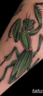 fotó egy imádkozó sáska tetoválásról, 2018. 04. 20 -án, №012 - sáska tetoválás -