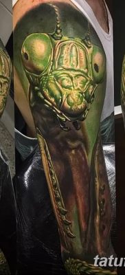 fotó egy imádkozó sáska tetoválásról, 2018. 04. 20 -án, №016 - sáska tetoválás -