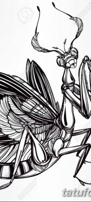 fotó egy imádkozó sáska tetoválásról, 2018. 04. 20. №016 - sáska tetoválás - 357335