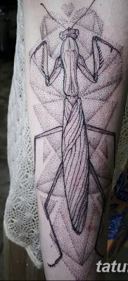 fotó egy imádkozó sáska tetoválásról, 2018. 04. 20. №023 - sáska tetoválás - 3635345