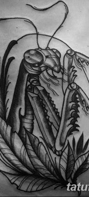 fotó egy imádkozó sáska tetoválásról, 2018. 04. 20 -án, №026 - sáska tetoválás -