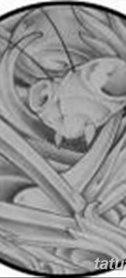 fotó egy imádkozó sáska tetoválásról, 2018. 04. 20. №027 - sáska tetoválás -