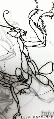 fotó egy imádkozó sáska tetoválásról, 2018. 04. 20 -án, №030 - sáska tetoválás -