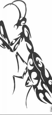 fotó egy imádkozó sáska tetoválásról, 2018. 04. 20 -án, №031 - sáska tetoválás -