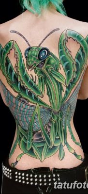 fotó egy imádkozó sáska tetoválásról, 2018. 04. 20. №038 - sáska tetoválás -