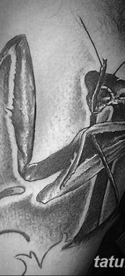 fotó egy imádkozó sáska tetoválásról, 2018. 04. 20 -án, №040 - sáska tetoválás -