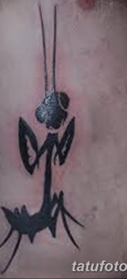 fotó egy imádkozó sáska tetoválásról, 2018. 04. 20 -án, №047 - sáska tetoválás -