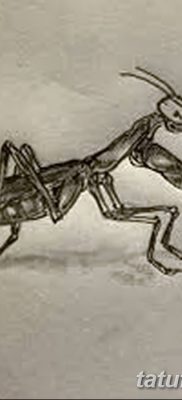 fotó egy imádkozó sáska tetoválásról, 2018. 04. 20 -án, №048 - sáska tetoválás -