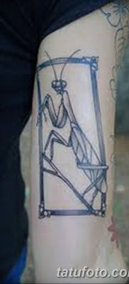 fotó egy imádkozó sáska tetoválásról, 2018. 04. 20 -án, №051 - sáska tetoválás -