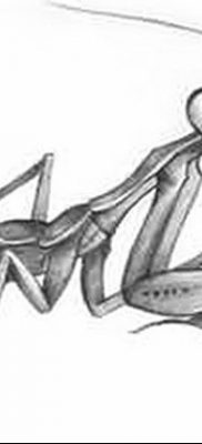 fotó egy imádkozó sáska tetoválásról, 2018. 04. 20. №056 - sáska tetoválás -