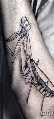 fotó egy imádkozó sáska tetoválásról, 2018. 04. 20. №057 - sáska tetoválás -