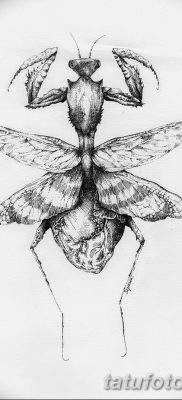 fotó egy imádkozó sáska tetoválásról, 2018. 04. 20 -án, №060 - sáska tetoválás -