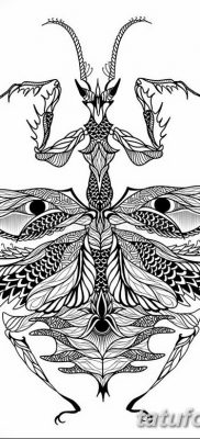 fotó egy imádkozó sáska tetoválásról, 2018. 04. 20 -án, №067 - sáska tetoválás -