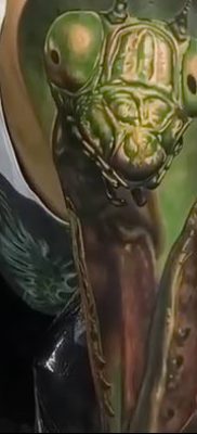 fotó egy imádkozó sáska tetoválásról, 2018. 04. 20 -án, №070 - sáska tetoválás -