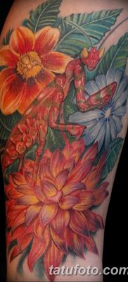 fotó egy imádkozó sáska tetoválásról, 2018. 04. 20 -án, №073 - sáska tetoválás -