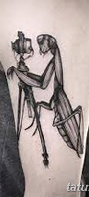 fotó egy imádkozó sáska tetoválásról, 2018. 04. 20 -án, №082 - sáska tetoválás -