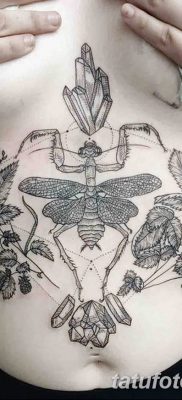 fotó egy imádkozó sáska tetoválásról, 2018. 04. 20. №083 - sáska tetoválás -