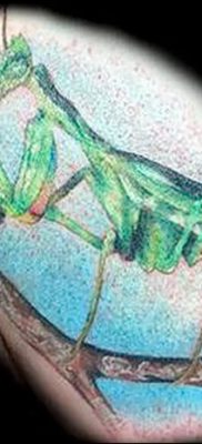 fotó egy imádkozó sáska tetoválásról, 2018. 04. 20 -án, №085 - sáska tetoválás -