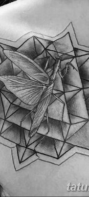 fotó egy imádkozó sáska tetoválásról, 2018. 04. 20 -án, №091 - sáska tetoválás -