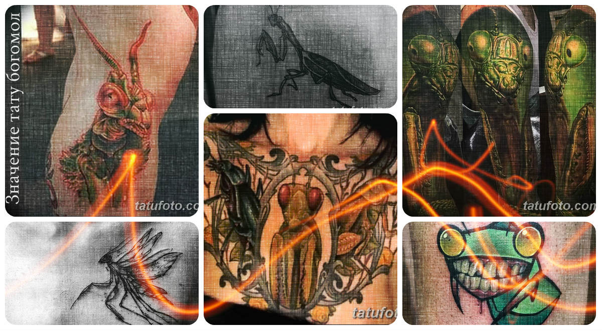 Az imádkozó sáska tetoválás jelentése - a kész tetoválásminták gyűjteménye a fotón