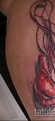 fotó tetoválás bokszkesztyű (tetoválás) (érték) - példa rajz - 068