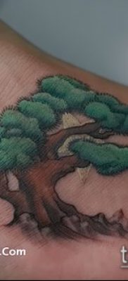 صورة لوشم بونساي - 19062017 - مثال - 087 وشم بونساي - 24222