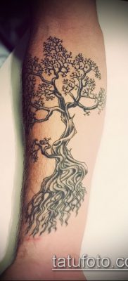 صورة من وشم بونساي - 19062017 - مثال - 012 وشم بونساي -